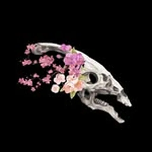 @youbredraptors profile image