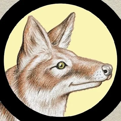 @youcantsayitstrue profile image