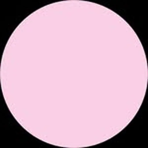 @youngseo profile image