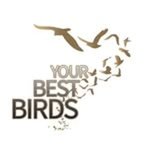 @your_best_birds profile image