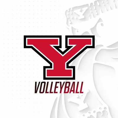 @ysuvolleyball profile image