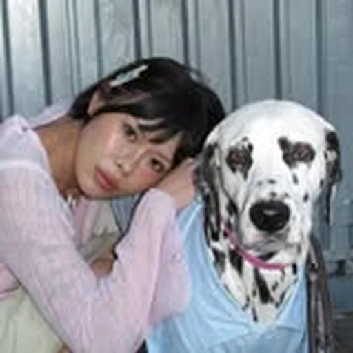@yuki_injo profile image