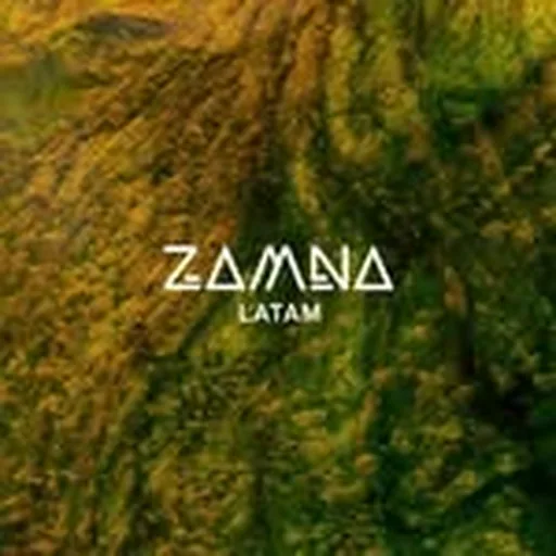 @zamna.latam profile image