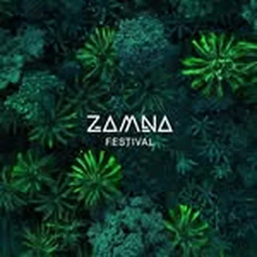 @zamna.music profile image