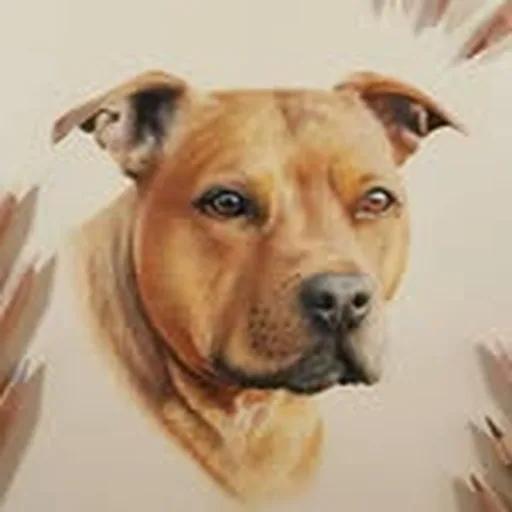 @zaratomsart profile image