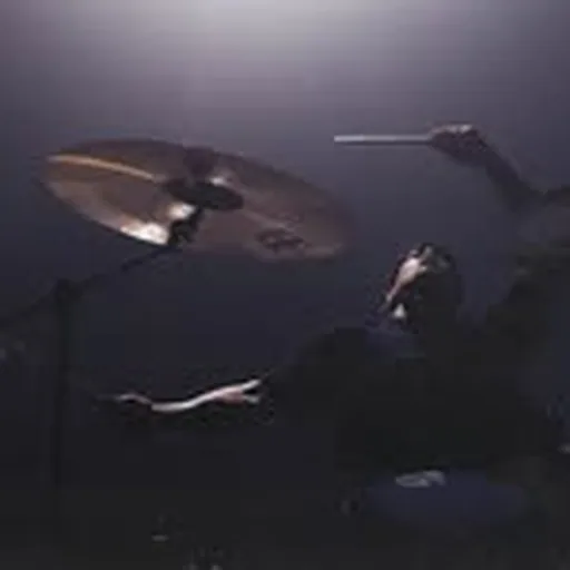@zdrums profile image