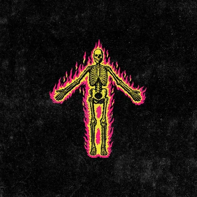 @zebraheadofficial profile image