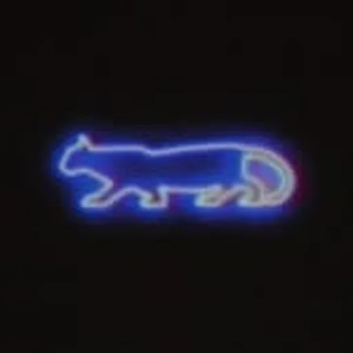 @zhamakthecat profile image