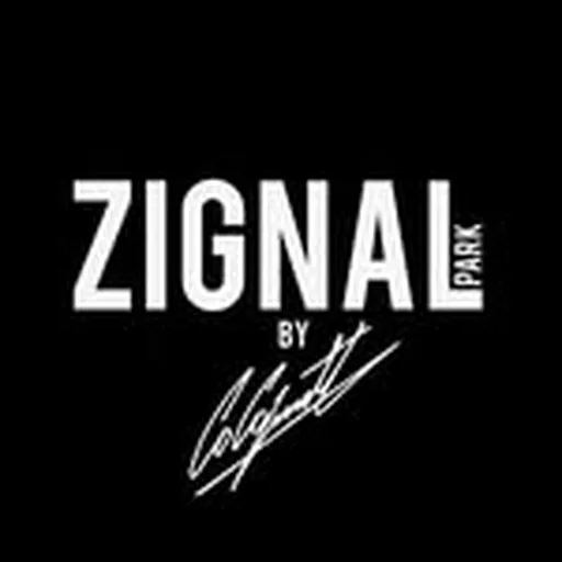 @zignalpark profile image