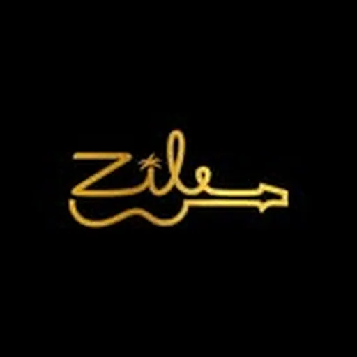 @zilemizik profile image