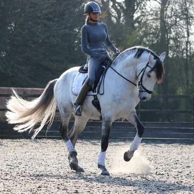 @zimbrallusitano profile image