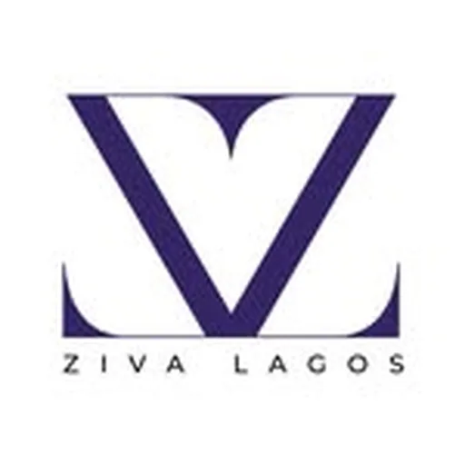 @zivalagos profile image