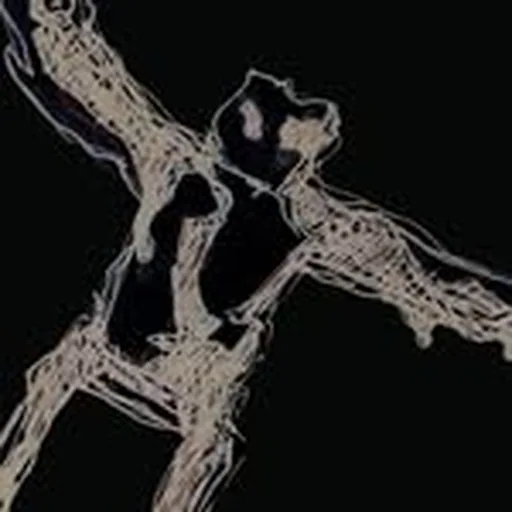 @zlypni profile image