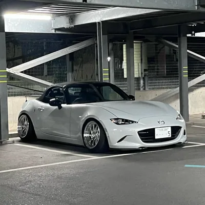 @zm5_japan profile image