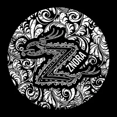 @znora_band profile image