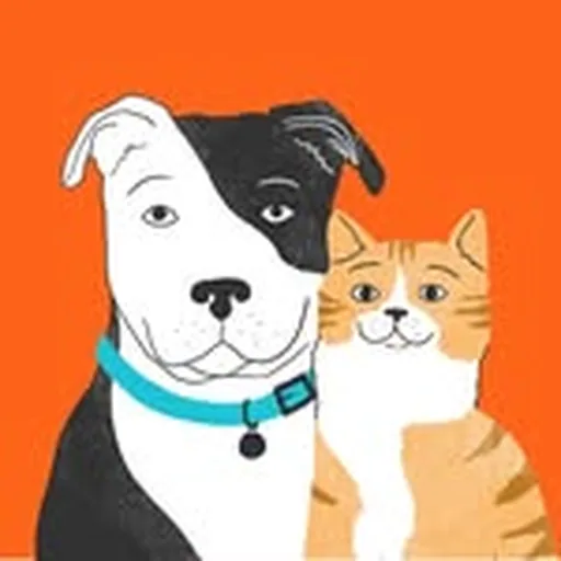 @zoetispetcare profile image