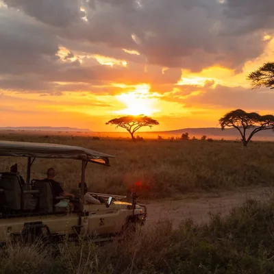 @zohar_african_safaris profile image