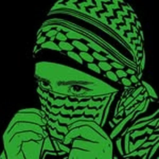 @zola_mtl profile image