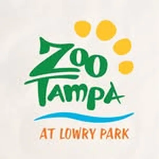 @zootampa profile image
