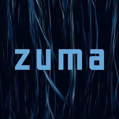 @zumarome profile image