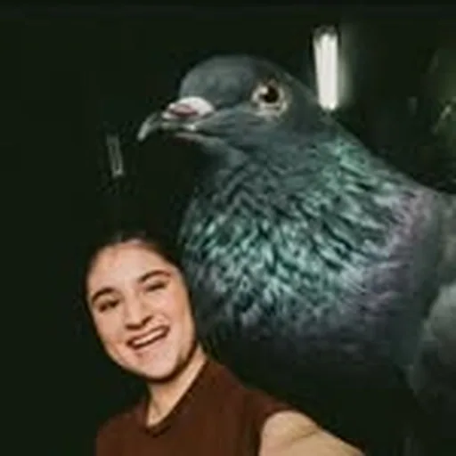 @zygodactyl_ profile image
